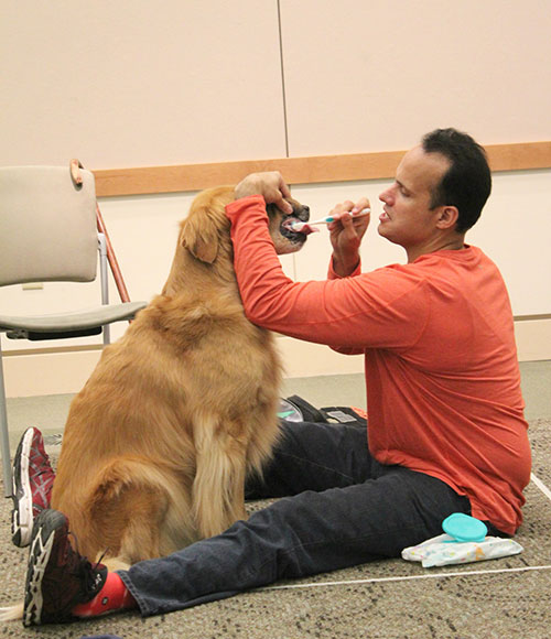 Former U.S. Army Captain and Service Dog Make Library Appearance