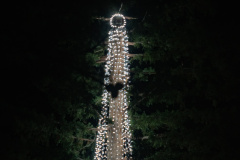 Inside-Tree-Lighting-004