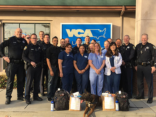 vca lawrence animal hospital