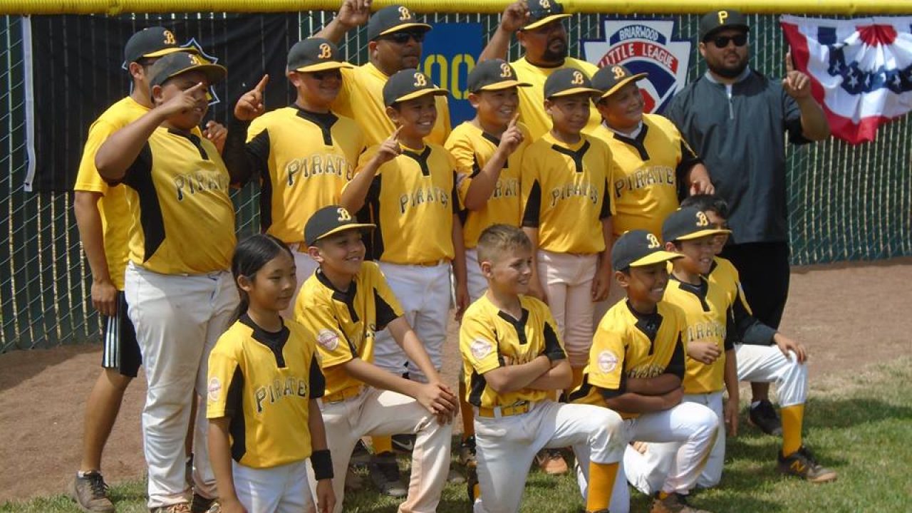 Official Briarwood Little League Baseball - Congrats to the 2019 Major  Division Champion Briarwood Pirates! What a series!!!!