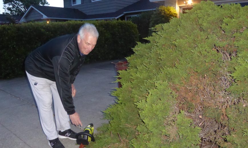 How a summer evening stroll turned into a neighborly encounter and a bit of yard work for Santa Clara resident Ben Levinson and his dog Rocky.