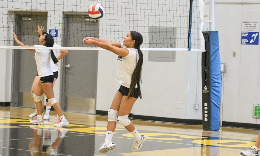 Wilcox volleyball's young team will lean on its defense as it looks to improve on last season's .500 record in league play.