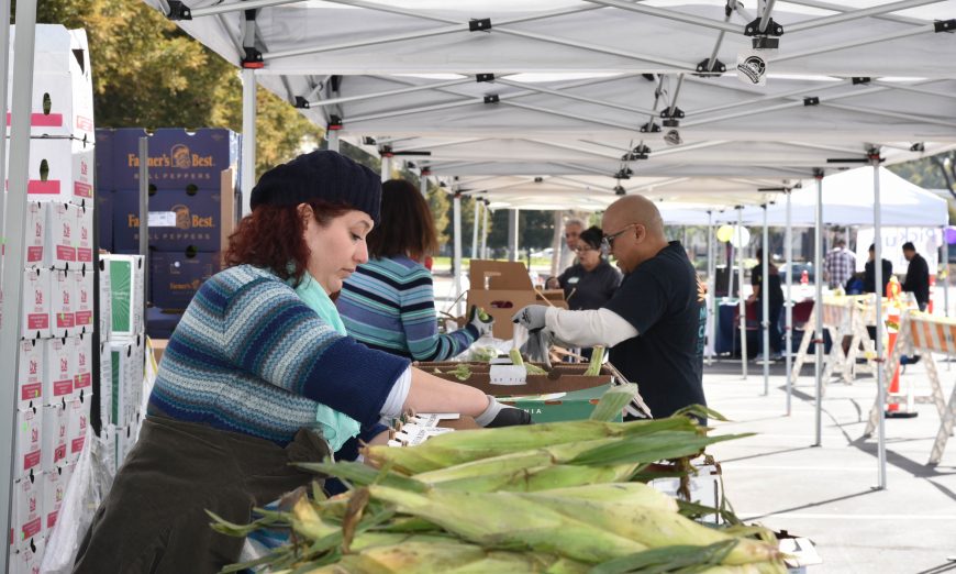 Second Harvest Food Bank CEO Leslie Bacho says the nonprofit is facing the worst crisis in its history trying to feed local families with decreased funding.