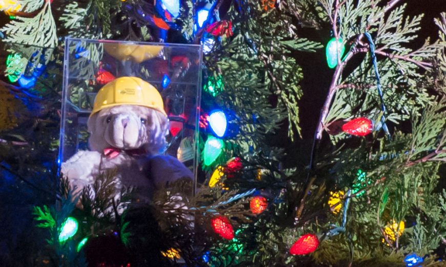 Santa Clara's Christmas Tradition is still going strong with everyone's favorite mascot, Teddy bear, who tops the Christmas tree.